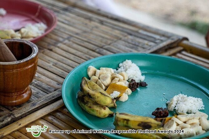 Khao Lak Ethical Elephant Sanctuary Conservation Experience - Final Thoughts: Who Will Benefit Most?