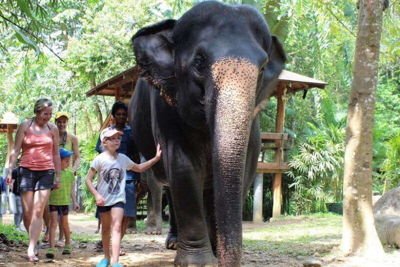 khao-lak-ethical-elephant-sanctuary-experience