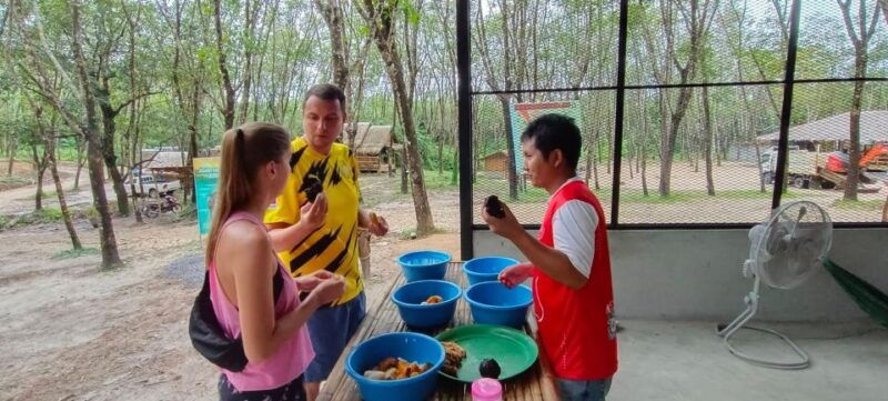 khao-lak-ethical-elephant-sanctuary-overnight-program