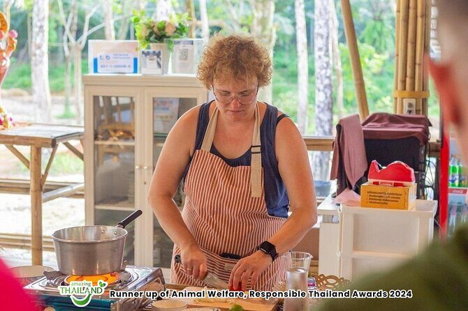 Khao Lak Ethical Elephant Sanctuary Small Group Tour - Who Should Consider This Tour?