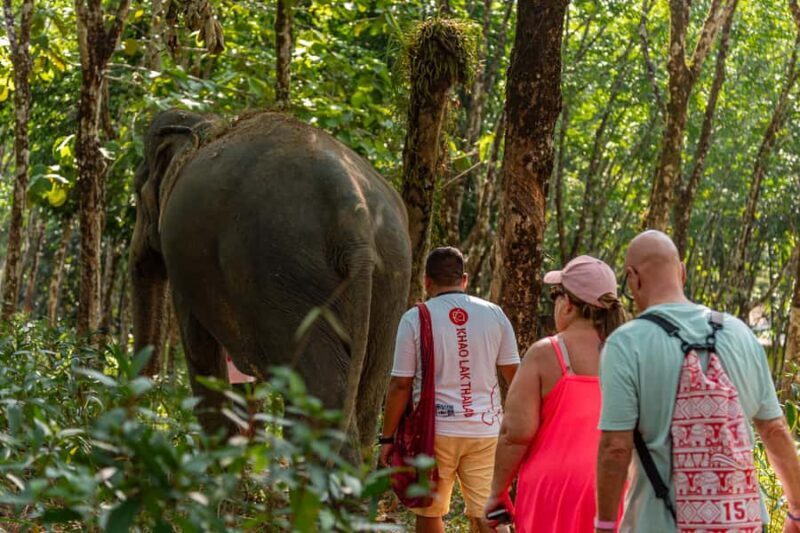 Khao Lak: Ethical Elephant, Zipline & ATV Premium Combo - Who Is This Tour Best For?