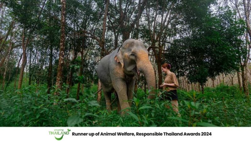 Khao Lak: Ethical Elephants & Zipline Combo Tour - Introduction: Why This Tour Stands Out
