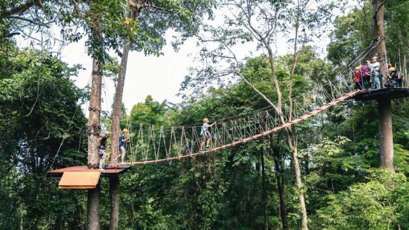 Khao Lak: Ethical Elephants & Zipline Combo Tour - What Sets This Tour Apart