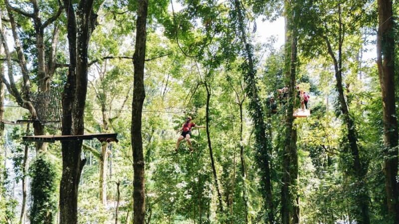 Khao Lak: Ethical Elephants & Zipline Combo Tour - Who Should Consider This Tour?