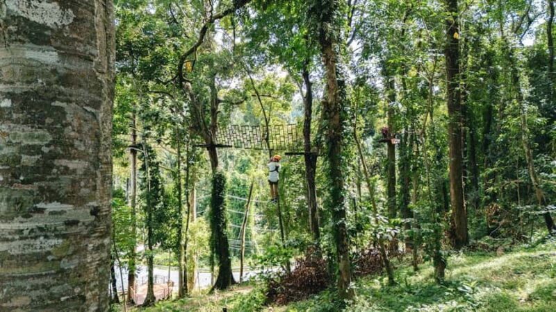 Khao Lak: Ethical Elephants & Zipline Combo Tour - Final Thoughts