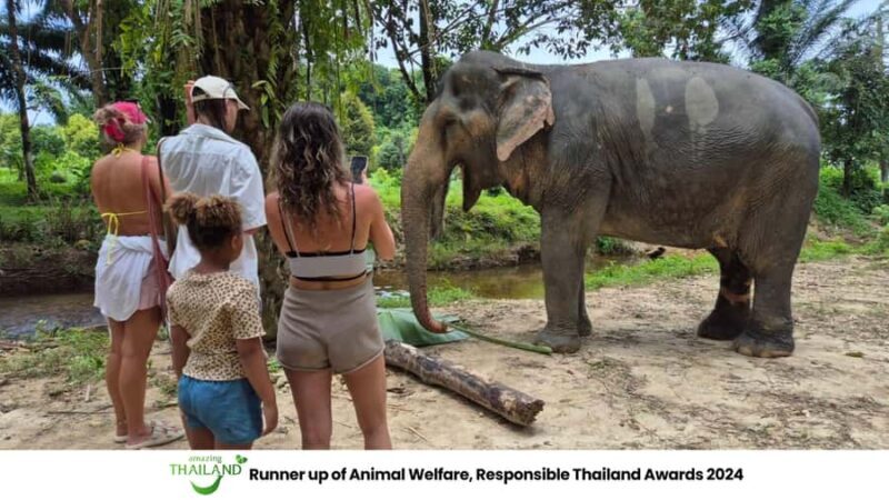 Khao Lak: Guided Tour to Elephant Sanctuary & Hotel Transfer - Key Points