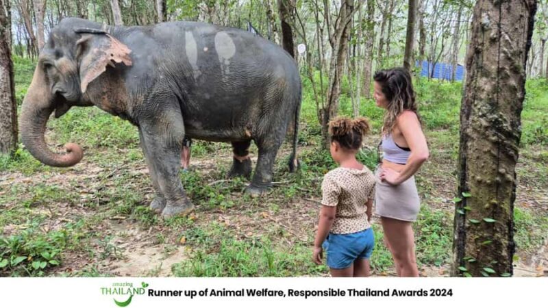 Khao Lak: Guided Tour to Elephant Sanctuary & Hotel Transfer - Real Experiences from Visitors