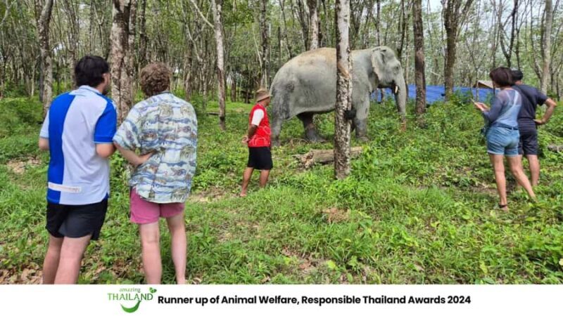Khao Lak: Guided Tour to Elephant Sanctuary & Hotel Transfer - Final Thoughts