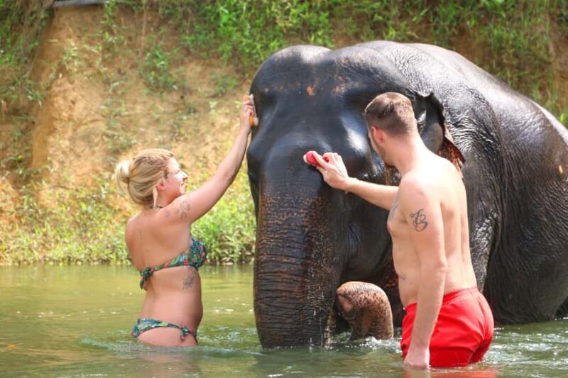 Khao Lak: Khao Sok Bamboo Rafting and Elephant Bathing Trip - Analyzing the Value