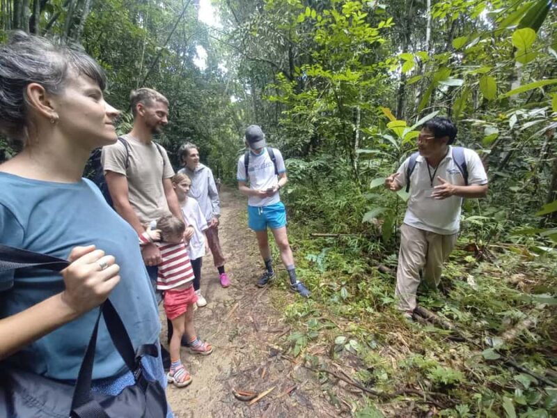 Khao Lak: Khao Sok Elephant Sanctuary and Night Jungle Walk - Who Should Consider This Tour?