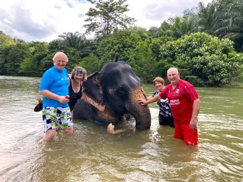 Khao Lak: Khao Sok Elephant Sanctuary and Night Jungle Walk - Final Thoughts
