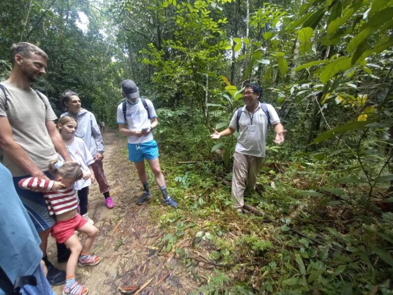 khao-lak-khao-sok-elephant-sanctuary-and-night-jungle-walk