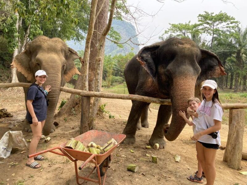 khao-lak-khao-sok-elephant-sanctuary-and-night-jungle-walk