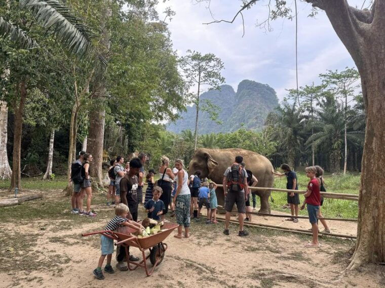 khao-lak-khao-sok-elephant-sanctuary-and-night-jungle-walk