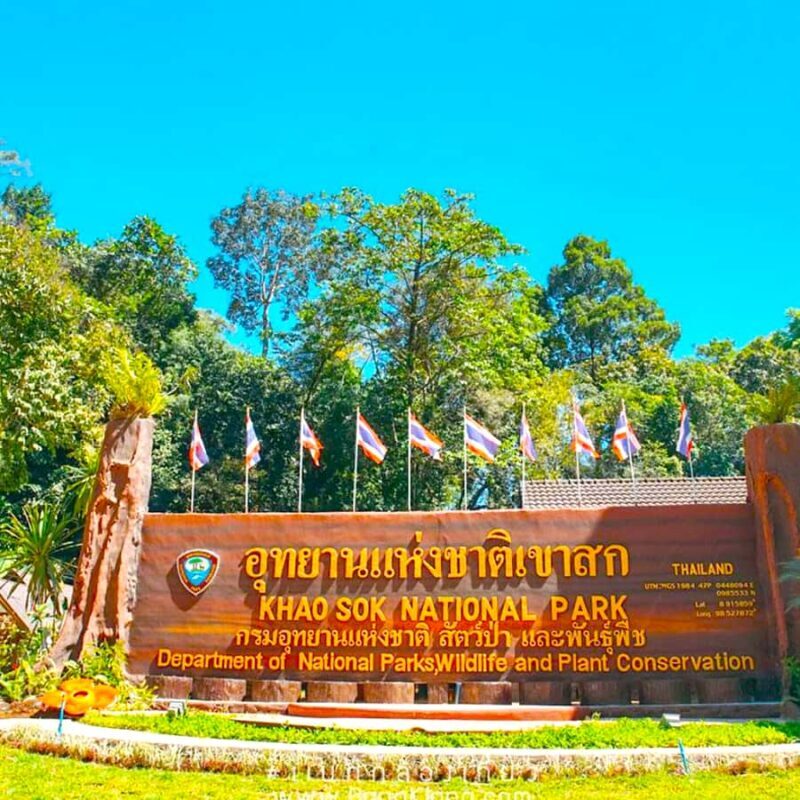 Khao Lak/Khao Sok : Khao Sok Trekking, Rafting, Lunch - Practical Details and Tips for Your Day