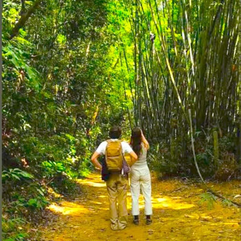 Khao Lak/Khao Sok : Khao Sok Trekking, Rafting, Lunch - FAQs