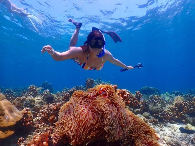 Khao Lak: Koh Haa & Koh Rok Day Tour with Snorkel, Lunch - An In-Depth Look at the Koh Haa & Koh Rok Experience