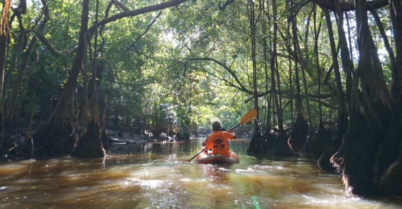 Khao Lak: Little Amazon Canoe Ride & Tam Nang Waterfall Tour - Final Thoughts: Who Should Consider This Tour?