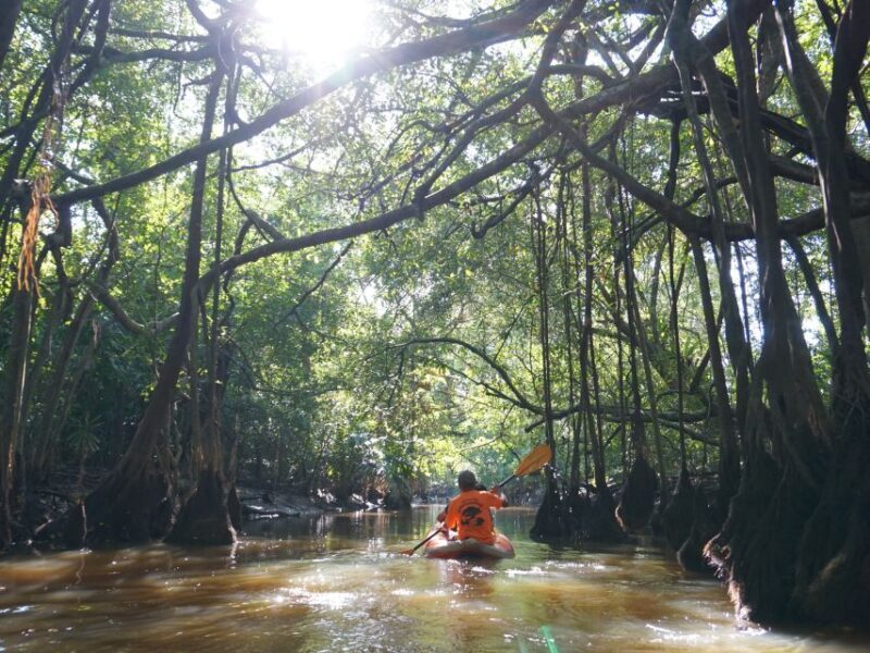 Khao Lak: Little Amazon Canoe Ride & Tam Nang Waterfall Tour - FAQ