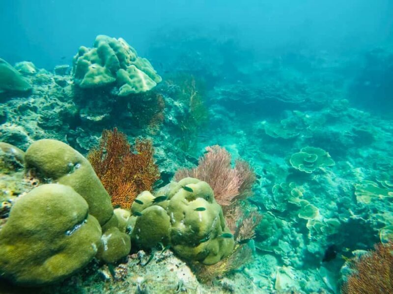 Khao Lak: Phi Phi & Bamboo Island Day Trip by Speedboat - FAQ