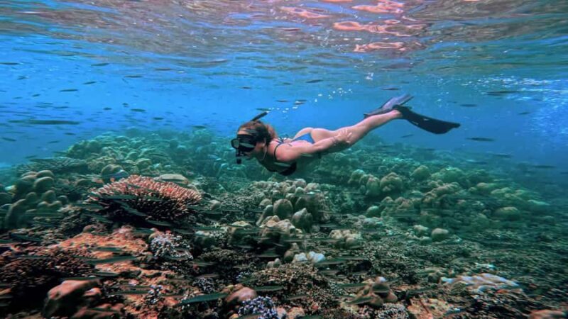 Khao Lak/Phuket: Platinum Surin Snorkel Escape by Powercat - Practical Details and Important Considerations