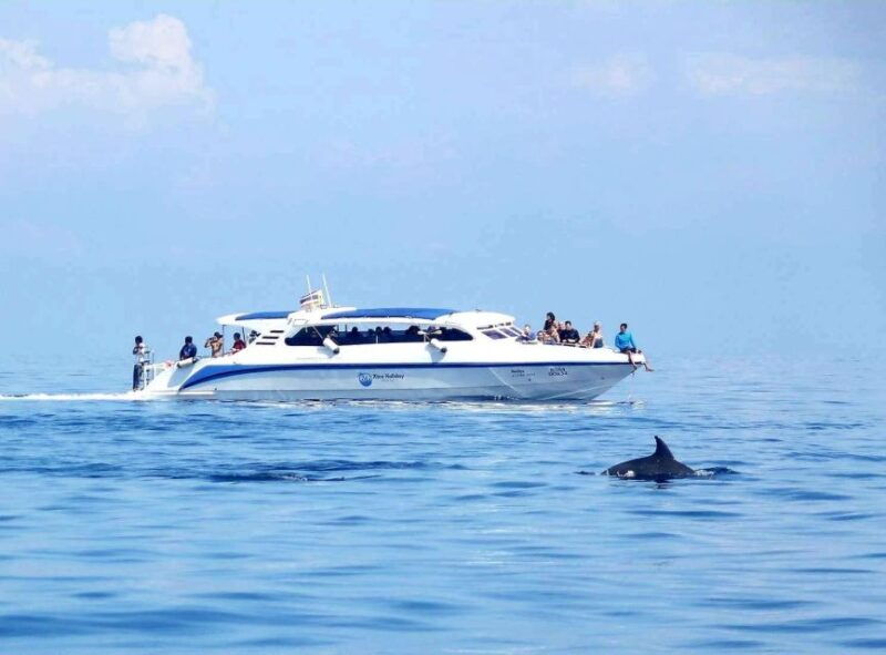 khao-lak-phuket-similan-by-speedcatamaran-16-people-maximum