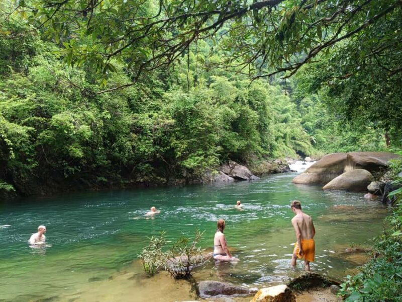 Khao Lak: Private Khao Sok Jungle Safari with Bamboo Rafting - Lunch in the Heart of Nature