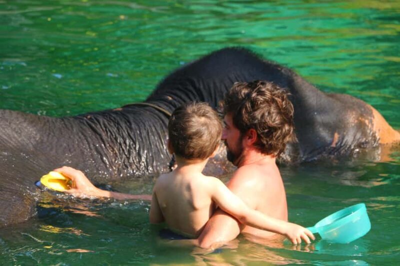 Khao Lak: Rafting, Elephant Bathing & Sea Turtle Center Tour - An Honest Breakdown of the Tour Experience