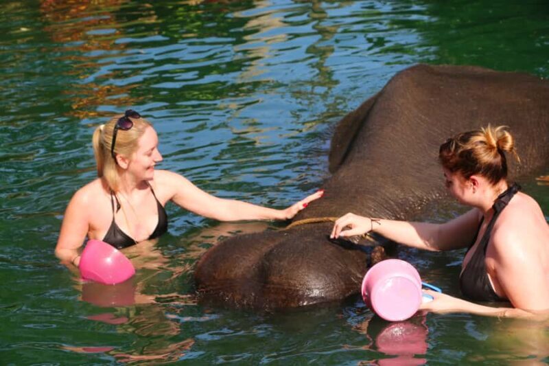 Khao Lak: Rafting, Elephant Bathing & Sea Turtle Center Tour - Frequently Asked Questions