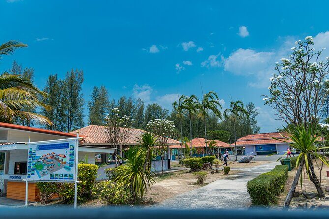 Khao Lak Sea Turtles Temples Bamboo Rafting Tour - The Sum Up