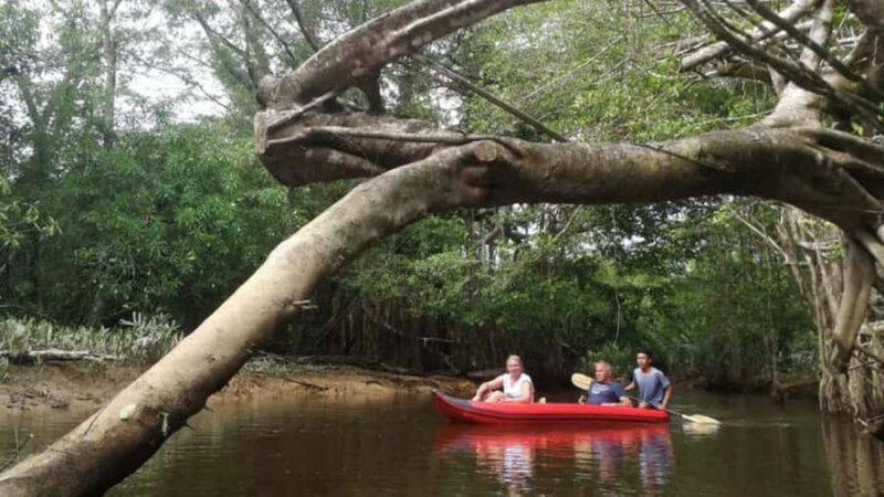 Khao Lak: Sri Phang Nga National Park and Takuapa Tour - Khao Lak: Sri Phang Nga National Park and Takuapa Tour — A Detailed Review