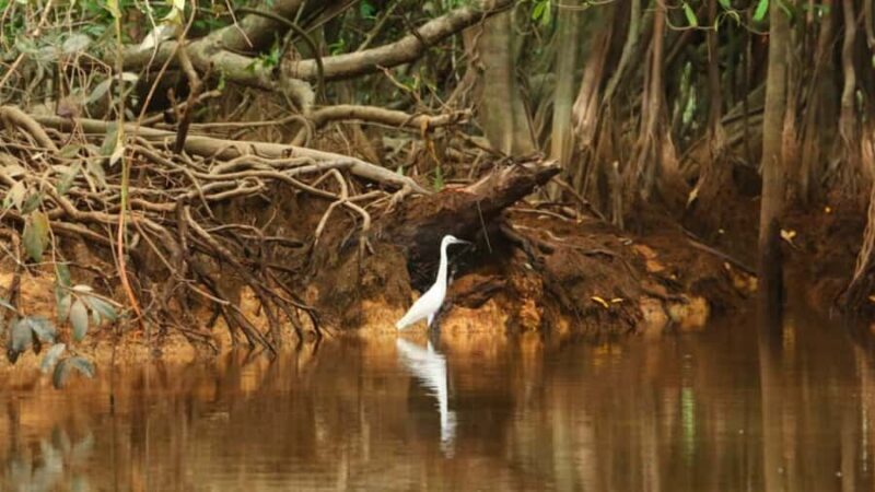 Khao Lak: Sri Phang Nga National Park and Takuapa Tour - Final Thoughts