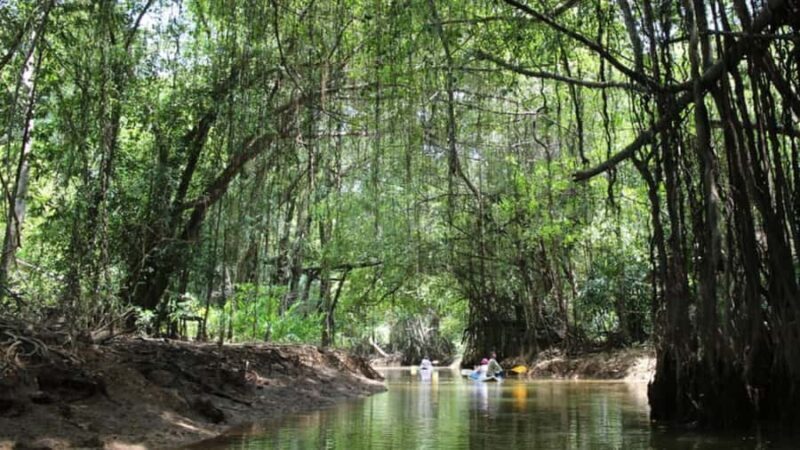 Khao Lak: Sri Phang Nga National Park and Takuapa Tour - FAQs