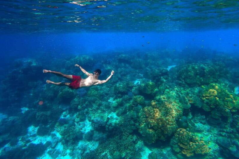 khao-lak-surin-islands-snorkeling-tour-with-moken-village