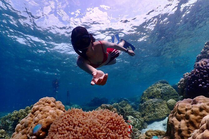 Khao Lak to Similan Islands Lazy Snorkeling by Speedboat - Starting Point and Transportation