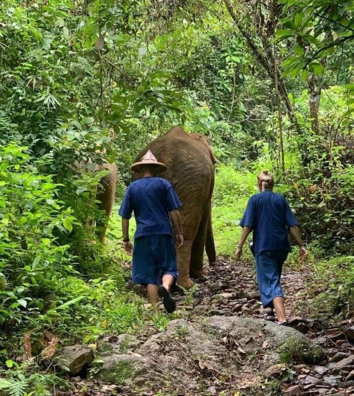 Khao Lak: Unique Dawn Ethical Elephant Sanctuary Experience - FAQ