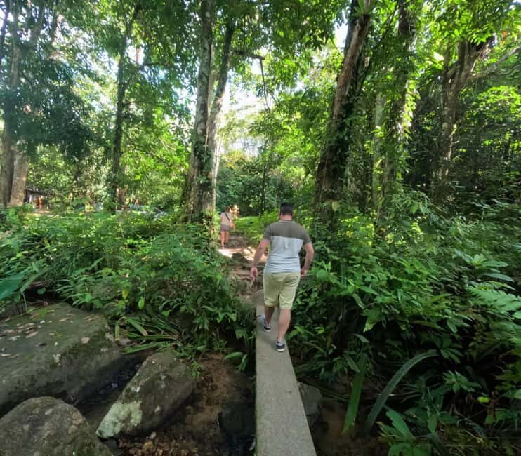 Khao Lak: Waterfall,Sea Turtle,Elephant Care,Meal & Transfer - Authenticity and Respect for Animals