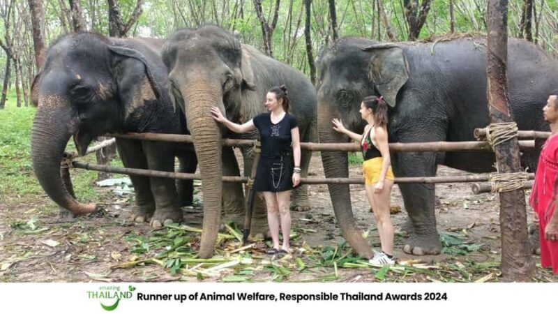 Khao Lak Wild ATV Quad Bike & Gentle Giants Experience - Who Is This Tour Best For?