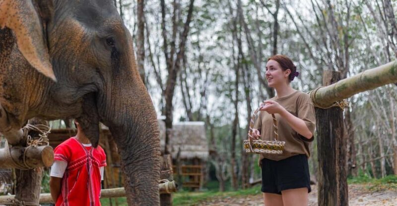 Khao Laks Best: Elephant Sanctuary,Rubber Tapping&Waterfall - Learning About Rubber Tapping  