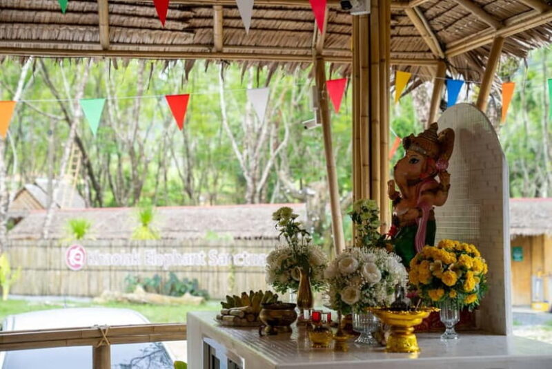 Khao Laks Best: Elephant Sanctuary,Rubber Tapping&Waterfall - Final Thoughts  