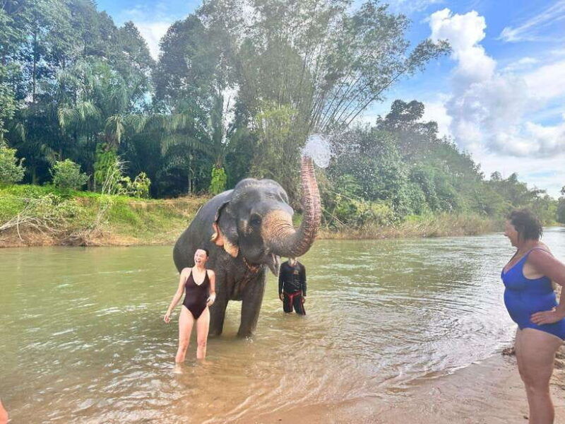 khao-sok-elephant-day-care-bamboo-rafting-day-tour