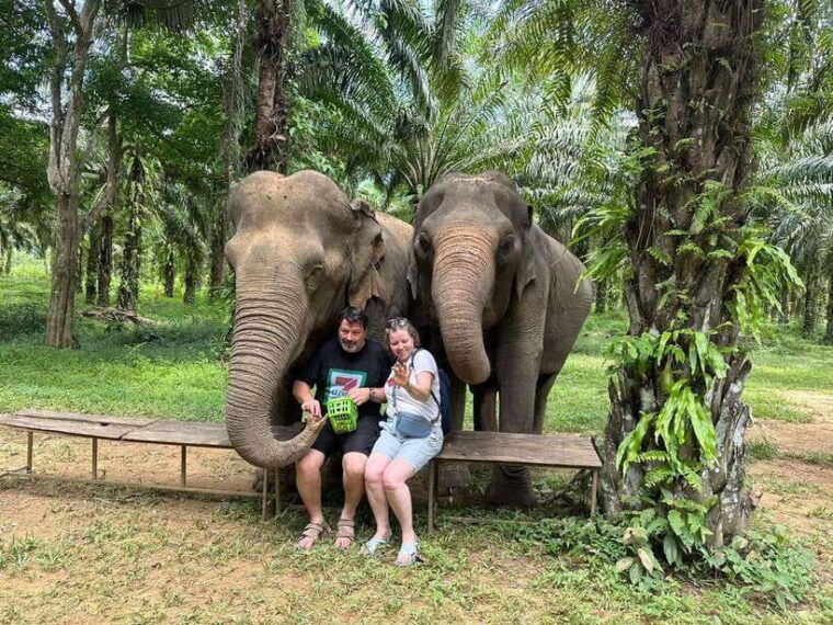 khao-sok-ethical-elephant-experience-nature-walk