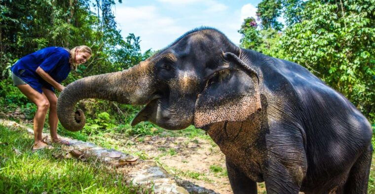 khao-sok-ethical-elephant-sanctuary-experience