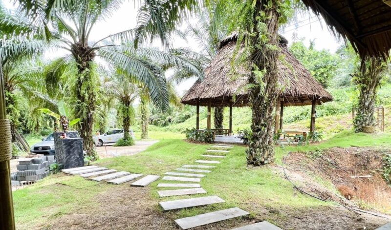 khao-sok-ethical-elephant-sanctuary-visit