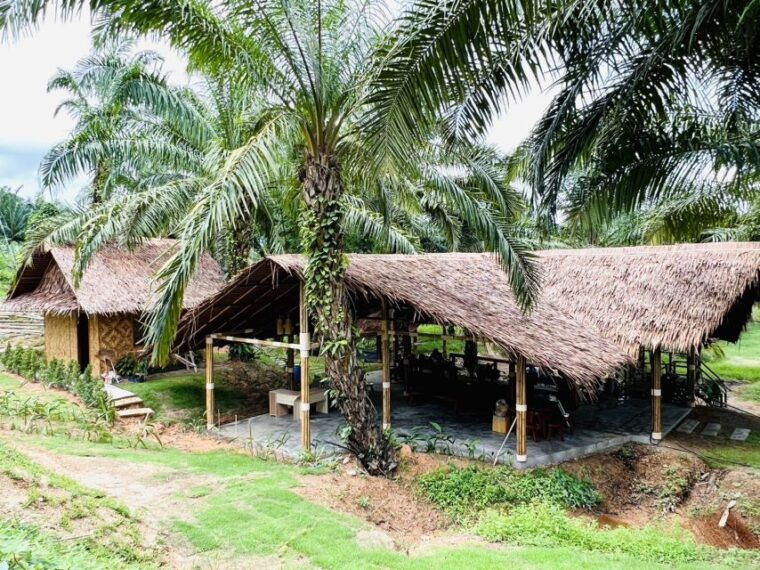 khao-sok-ethical-elephant-sanctuary-visit