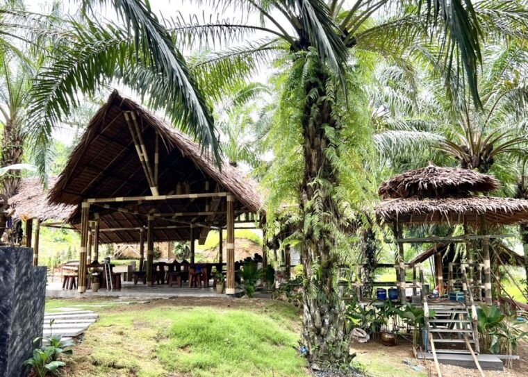 khao-sok-ethical-elephant-sanctuary-visit