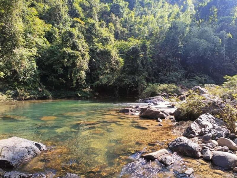 Khao Sok: Full Day Half Night Trek with Lunch & Dinner - What Makes This Tour Stand Out?