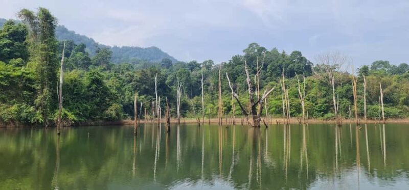 Khao Sok National Park: 3-day nature & jungle tour on Cheow Lan Lake - Authentic Experiences and What Makes It Special