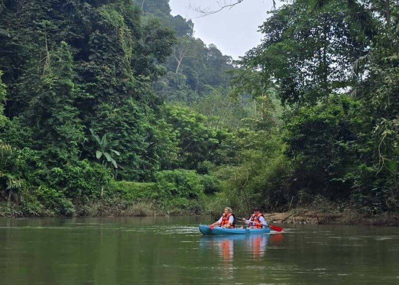 Khao Sok Park: Jungle Kayak Adventure & Wildlife Tour - FAQ