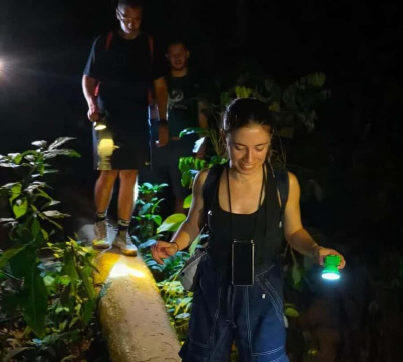 Khao Sok: Private Day Trekking, Jungle Dinner & Night Safari - Transition to Night: The Night Safari